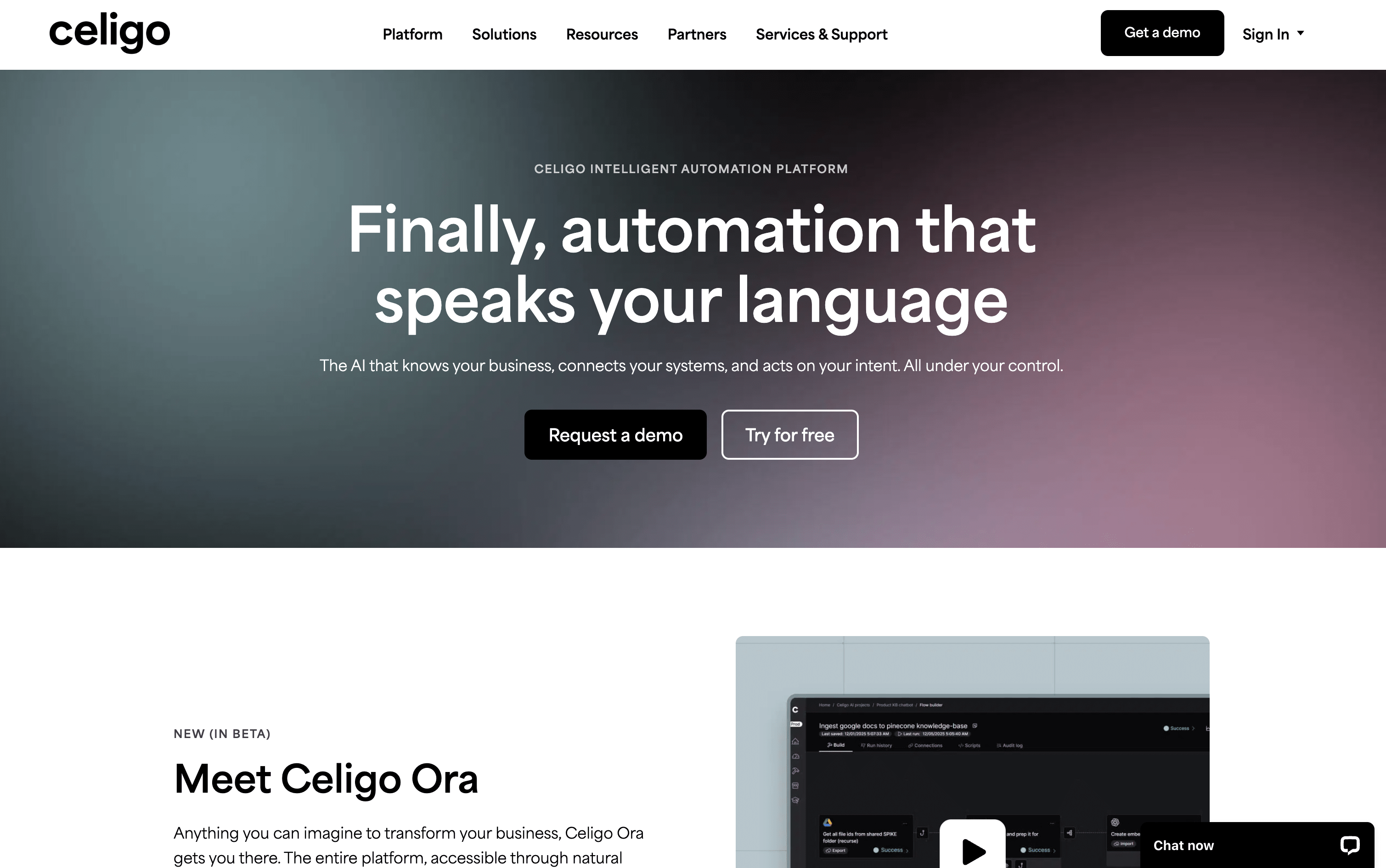Celigo 스크린샷